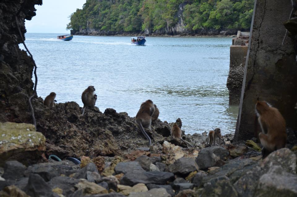 318063_10152382414545261_1759791304_n