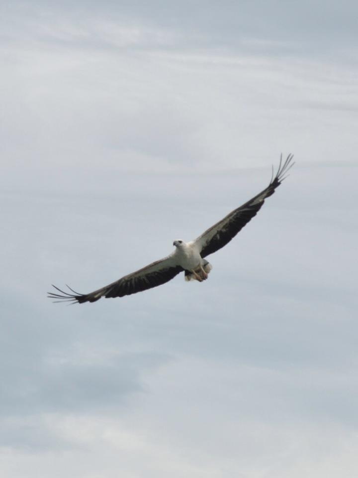 530470_10152383466785261_1906760485_n