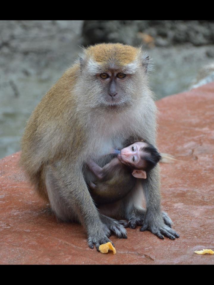 575007_10152383458260261_694601476_n