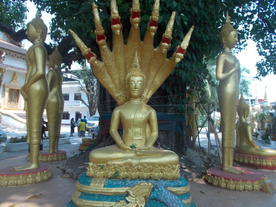 544578_10200773629652771_2026524175_n