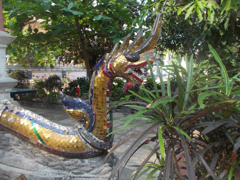 301594_10200773843858126_1300930212_n