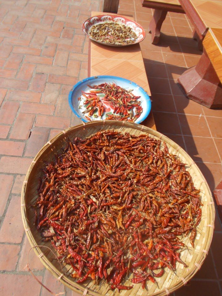 544139_10200773832017830_2105900869_n