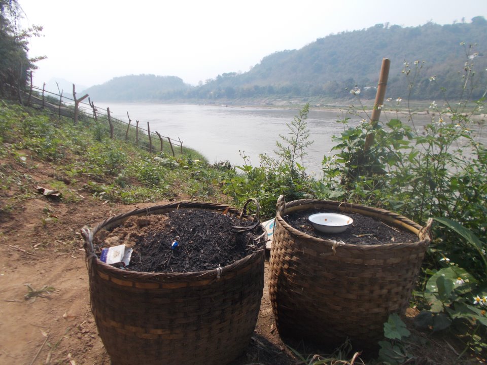 549840_10200773959941028_235369820_n