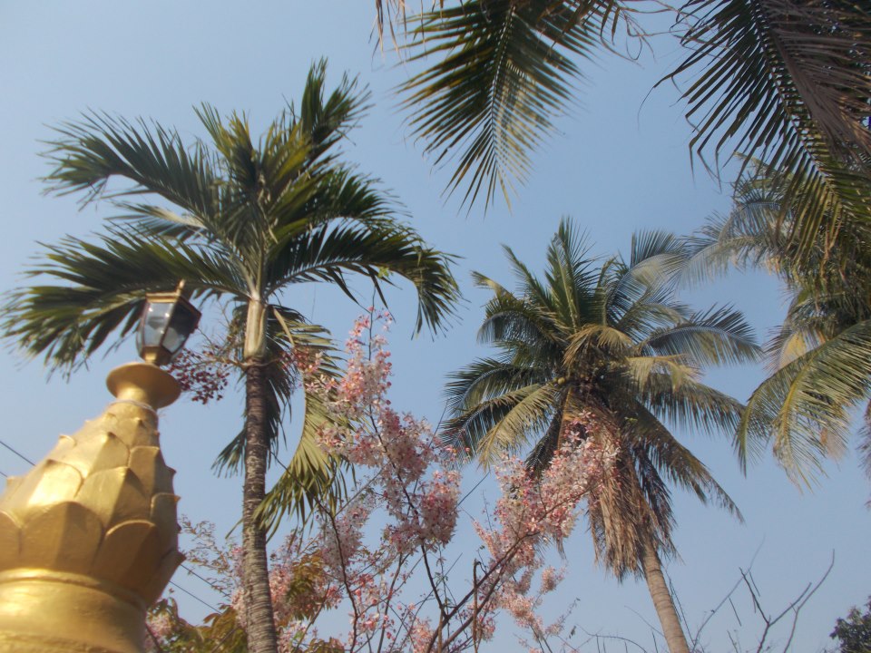 555054_10200773841538068_838533983_n