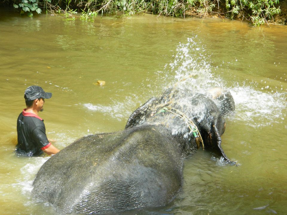 21186_10201096260478340_1468728807_n