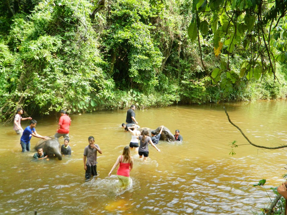 248321_10201096267198508_2051780278_n