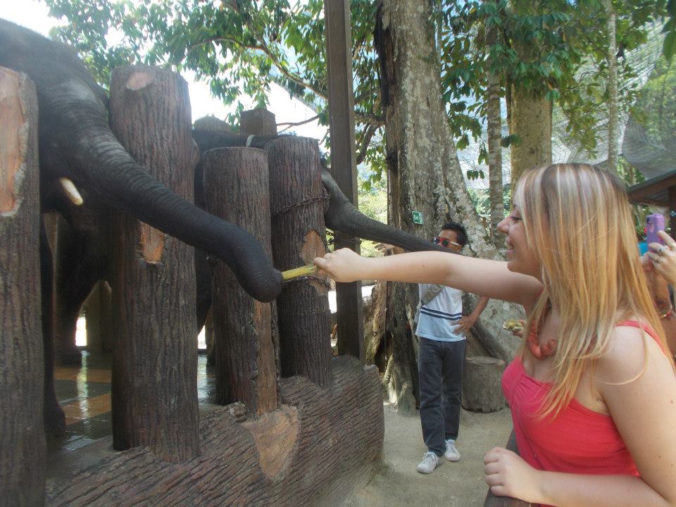 270984_10201096335120206_1621666342_n