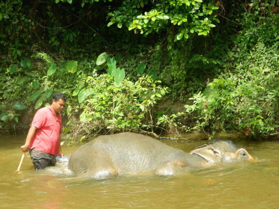 309980_10201096259398313_578941921_n