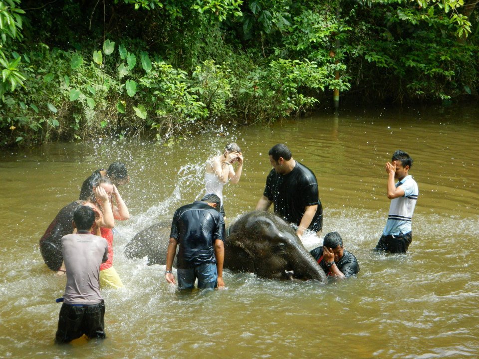 310060_10201096272918651_831021332_n