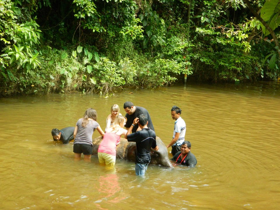 417877_10201096268758547_1701761220_n