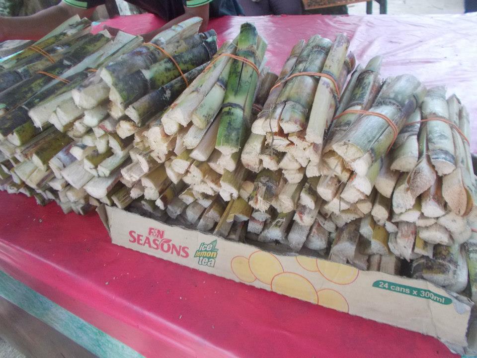 428594_10201096335920226_1400997596_n