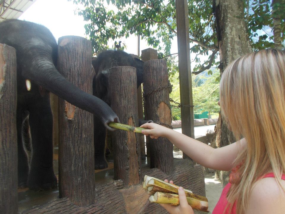 944589_10201096334320186_1772014059_n