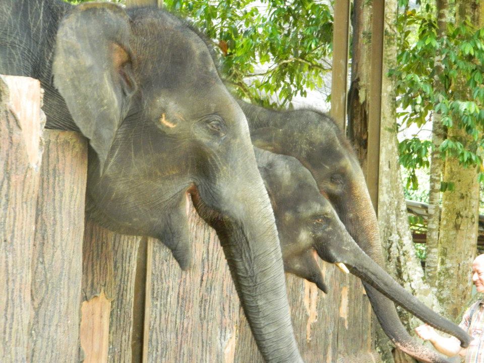 945477_10201096238477790_1064909114_n