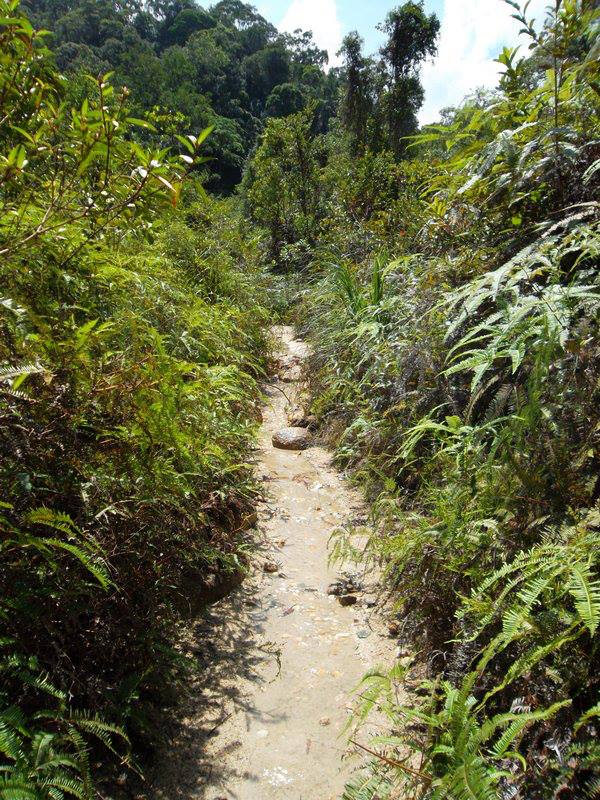 179776_10151545816039145_1708753648_n