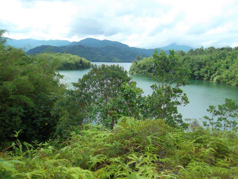 935229_10151545820999145_814432376_n