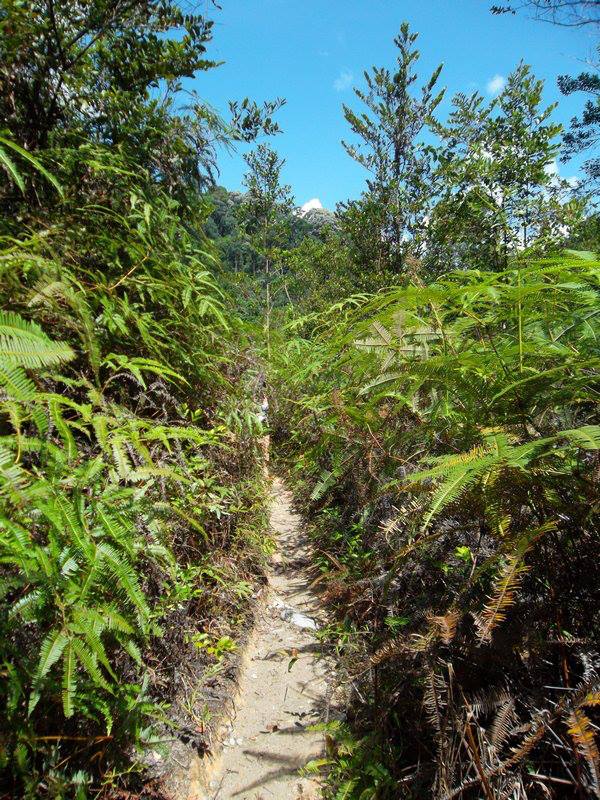 998620_10151545816364145_1978095255_n