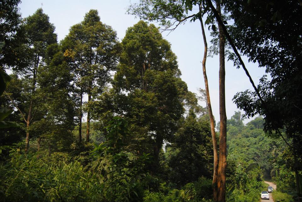 1000827_10201386391851443_927279610_n