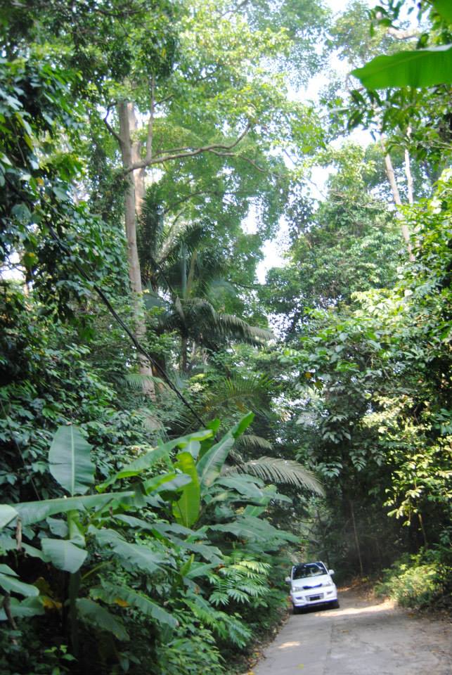 1013881_10201386394011497_283975349_n