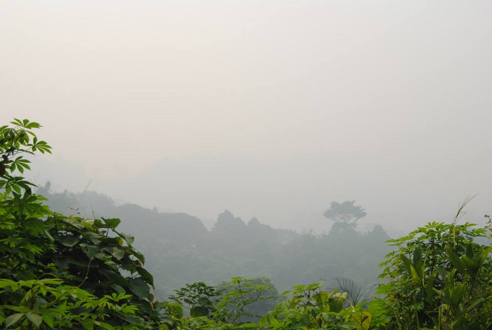 1017273_10201386371050923_1744217018_n