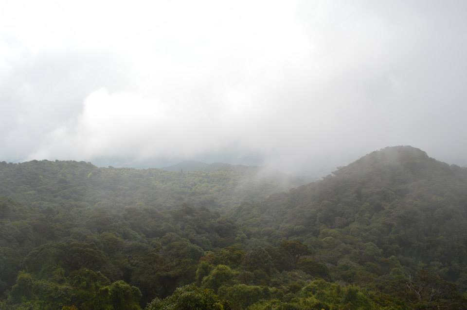 164235_10201417447099002_182025547_n