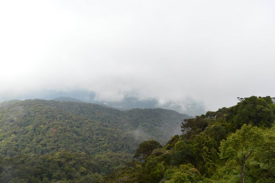 17633_10201417450059076_1560192654_n