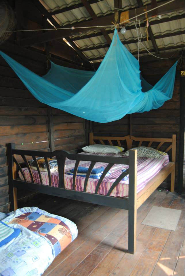 421903_10201386372170951_1931926682_n