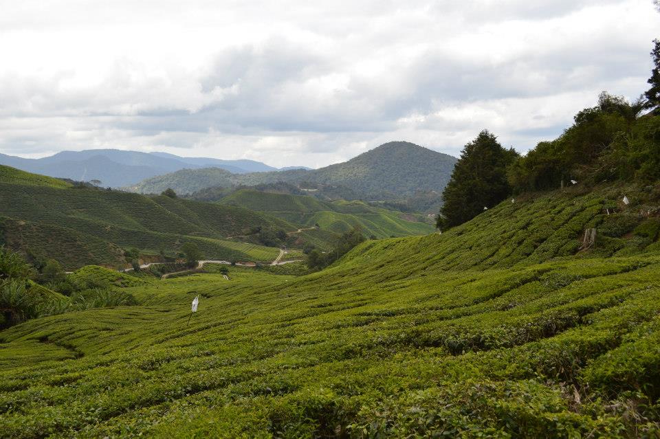 553375_10201417443818920_728786457_n