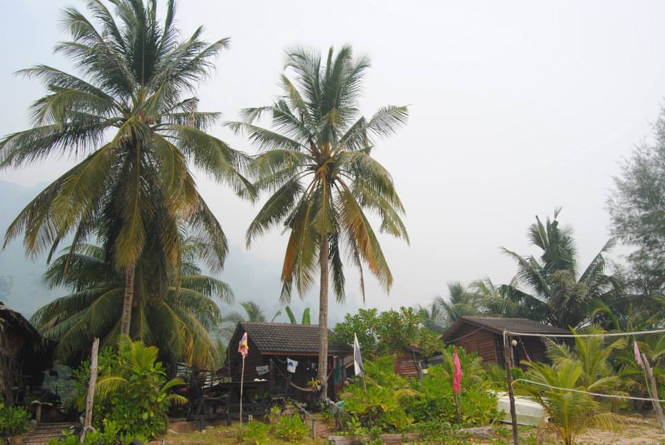 934918_10201383516499561_688582600_n