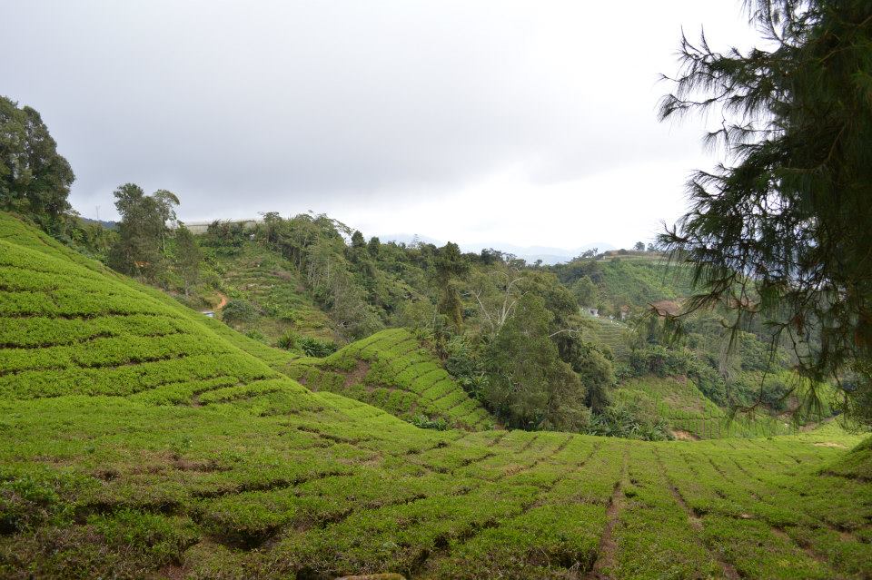 988609_10201417459259306_1544832061_n