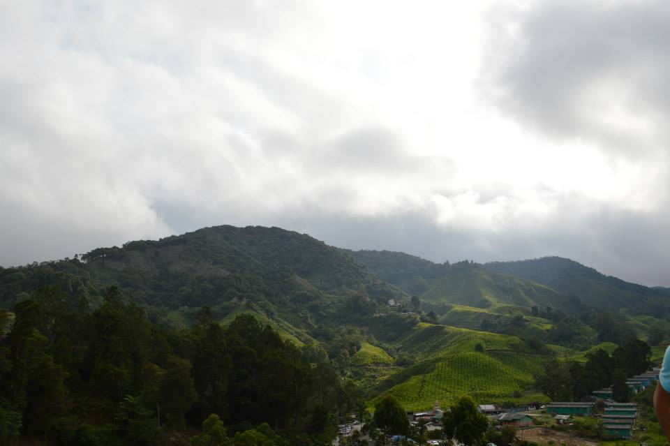 993316_10201417461579364_917071596_n