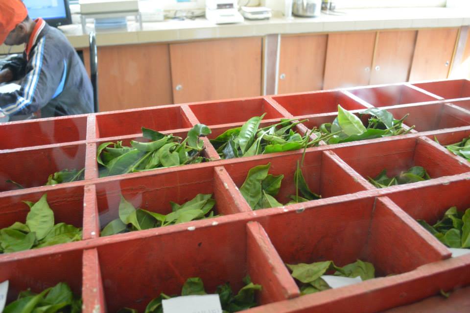 993617_10201417453499162_1101687580_n