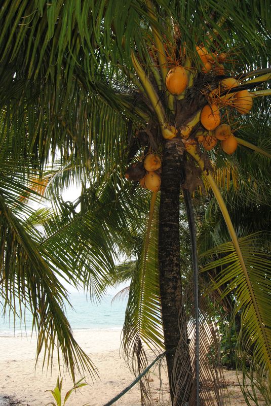 a4igs6NHvjG-xqqCbrLgMBz7uz1njI54tdkHCrlJB1o,ZmIGp14VM-D7_CFLQvSZlAywQb1-9CoPpT7NZ_Ofum0