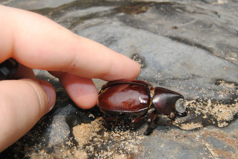 B4PXs4O-FmSqKE1pd5kUhnvqgkUik4NTwJ_hTq7WMBM,U-IFDx6wZsswrp10oCcsJ2ojruU93RyvTpptlJC6h3A