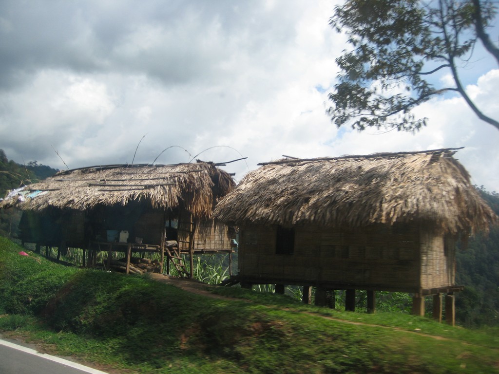 Cameron-Highlands-2008-03-20-002