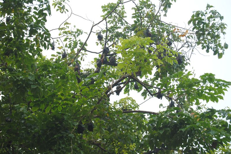 II9LNMP6Ra_fOpJ9MGFxmztmqBx3R6DmkjPDzci1bqQ,GX9hAWbBLu0bdk8iThhd5M2gHK9lLnkq6NsvY_r6EPA