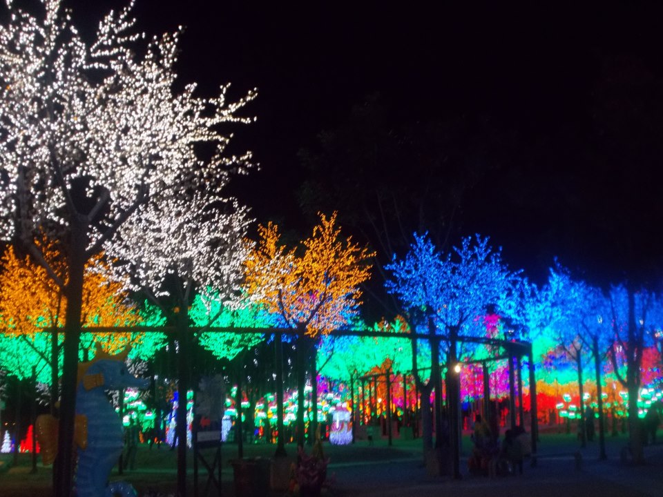 246566_10200790065223650_1955851157_n