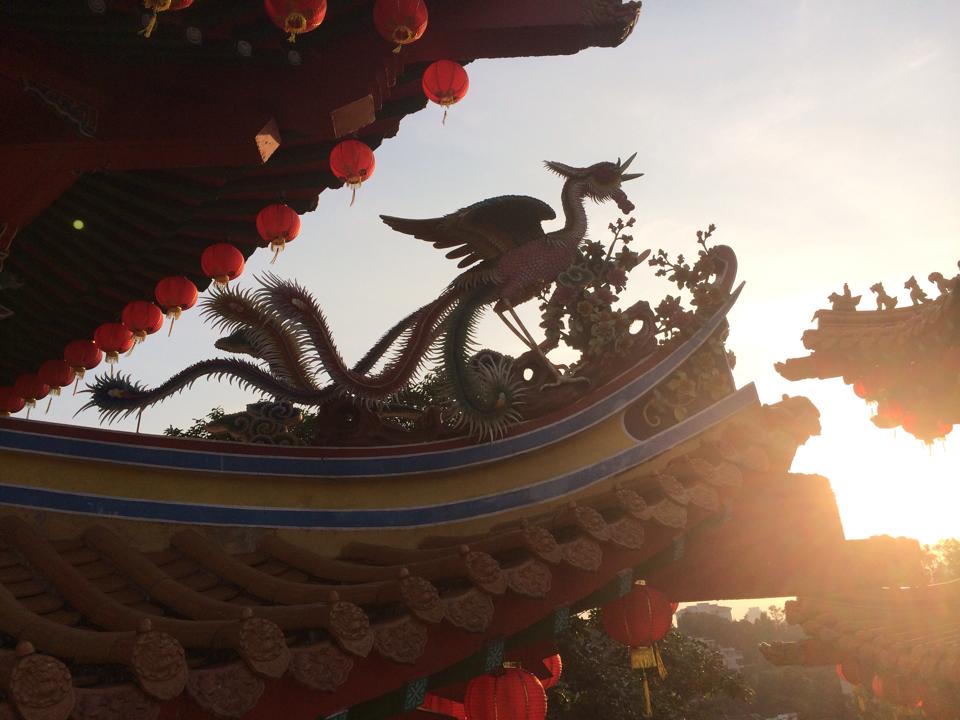 1497290_10201918435215882_2012073504_n