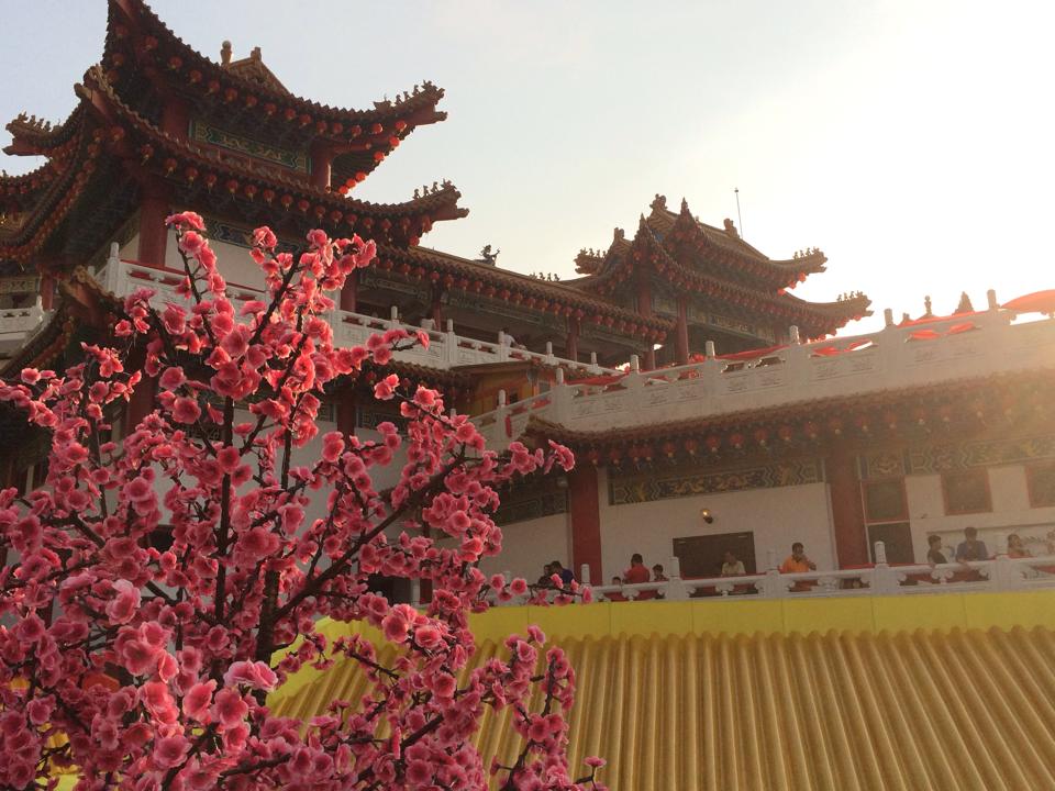 1606971_10201918445576141_2101117697_n