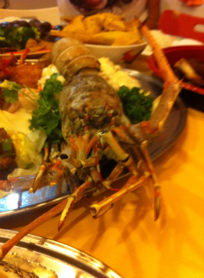 1623708_10201333010519473_340643772_n