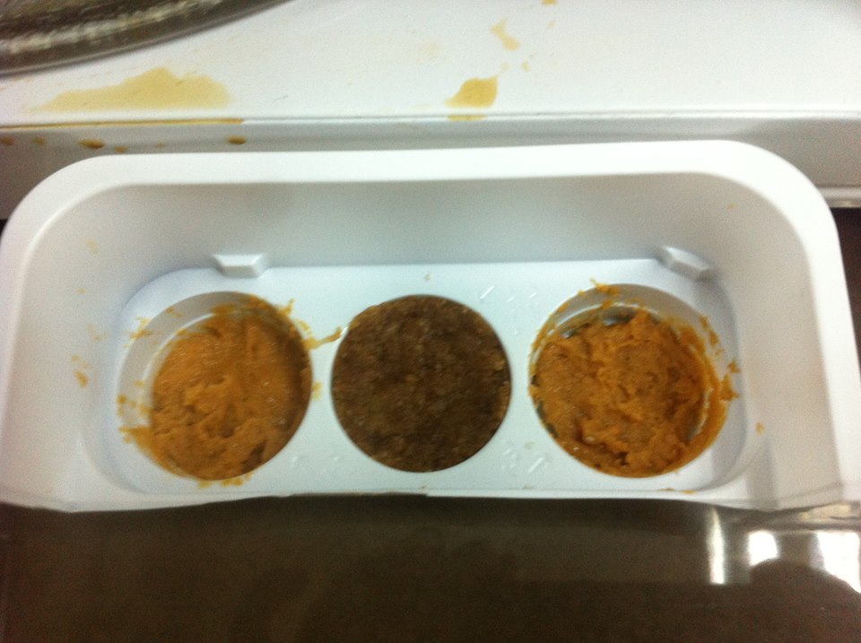 10149926_10201582059945553_776810826_n