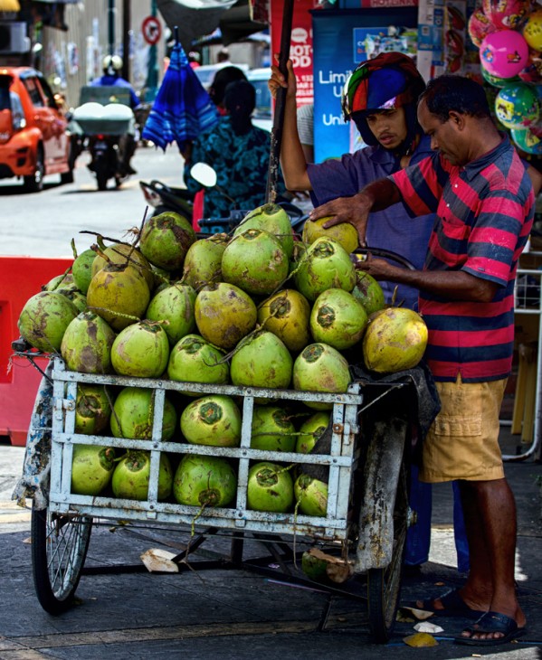 coconut_penang-599x730