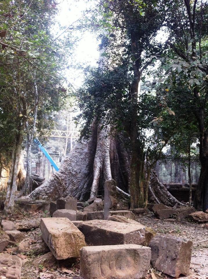 1507620_10203173093477867_1155632908_n