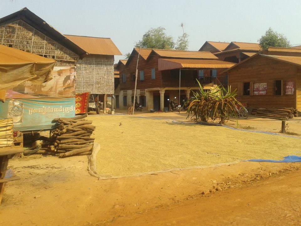 1607057_10203161295582927_1937115346_n