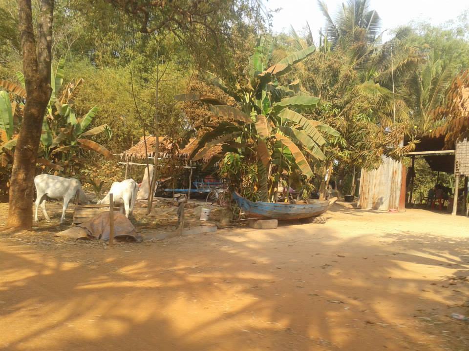 1622707_10203161294782907_324559672_n