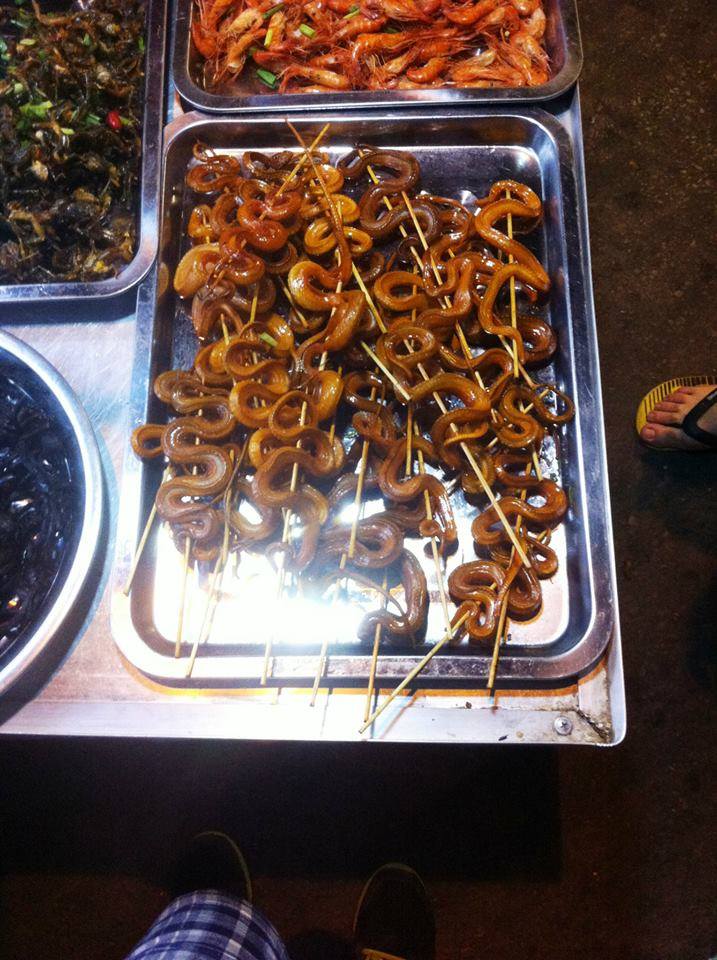 1959744_10203173094597895_845858896_n