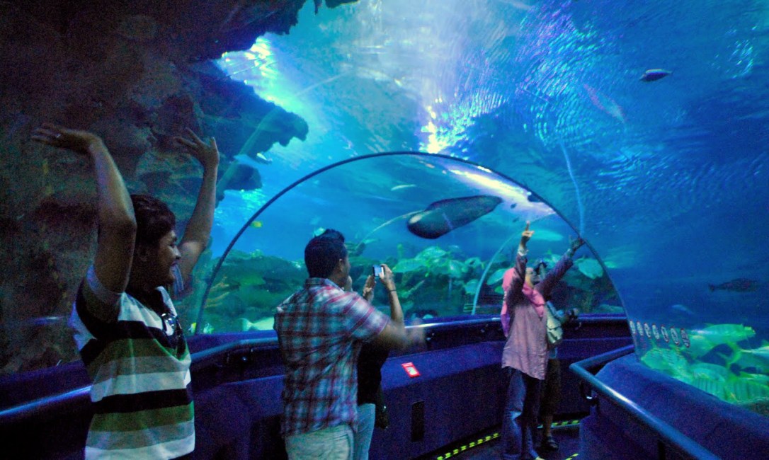 2011.8.9 Aquaria, KLCC, Malaysia_16