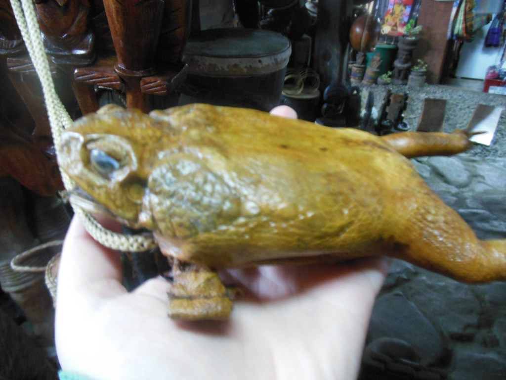 Gustowna pamiątka - portmonetka z suszonej żaby.