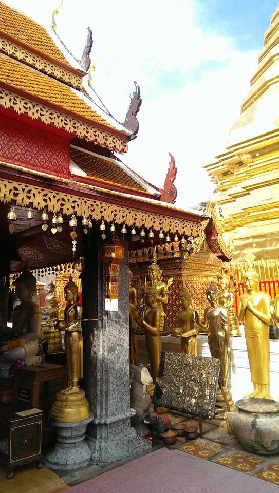 10373496_10205213057155684_5001205924405100342_n