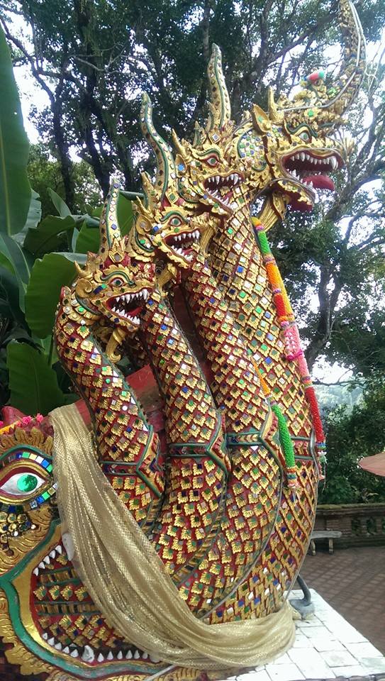 1510961_10205213042675322_200147588540973245_n