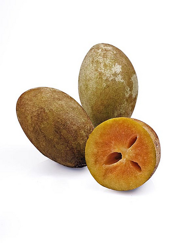 4116625997_61dc163596